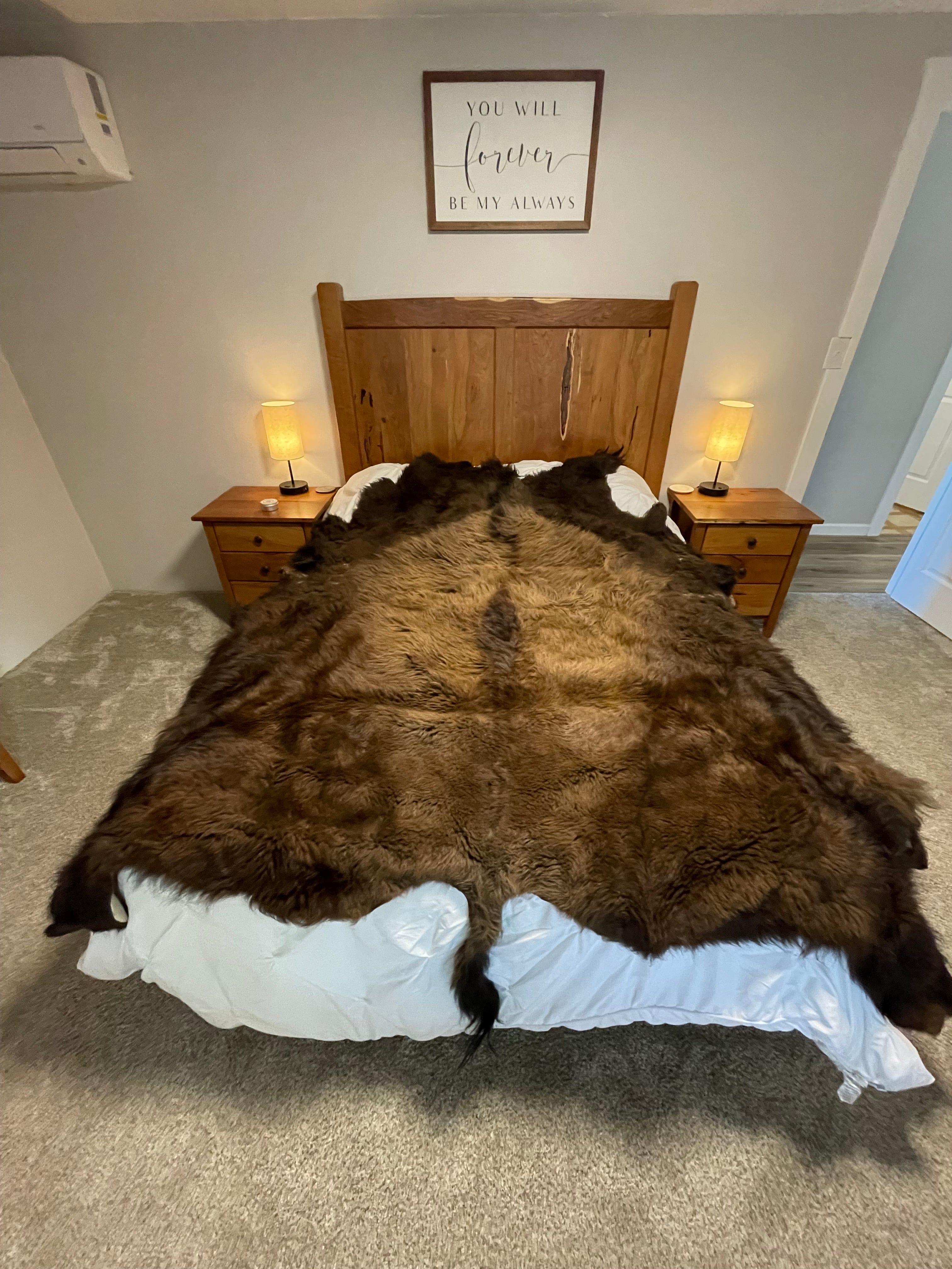 Bison Hides #29