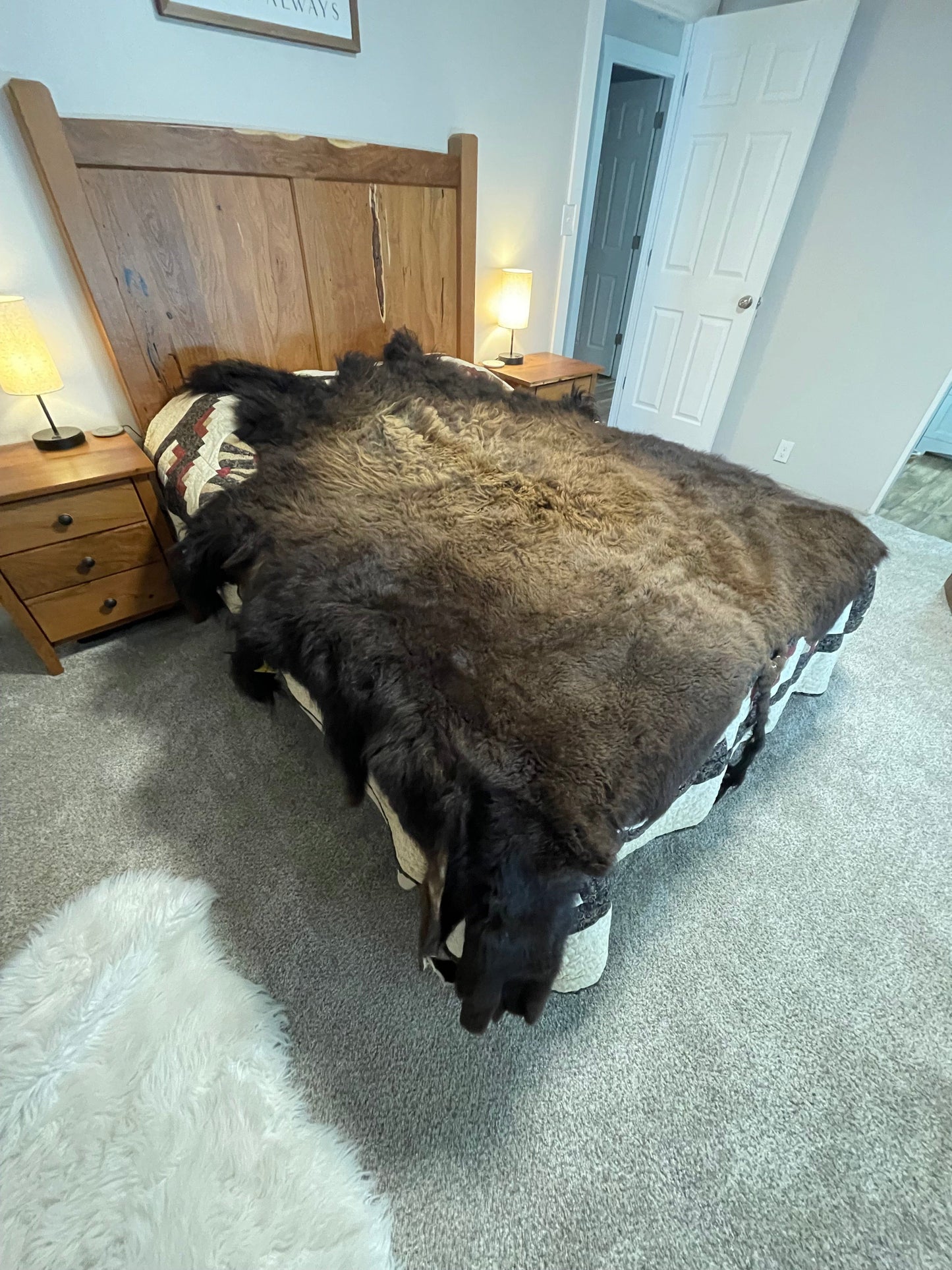 Bison Hides #14
