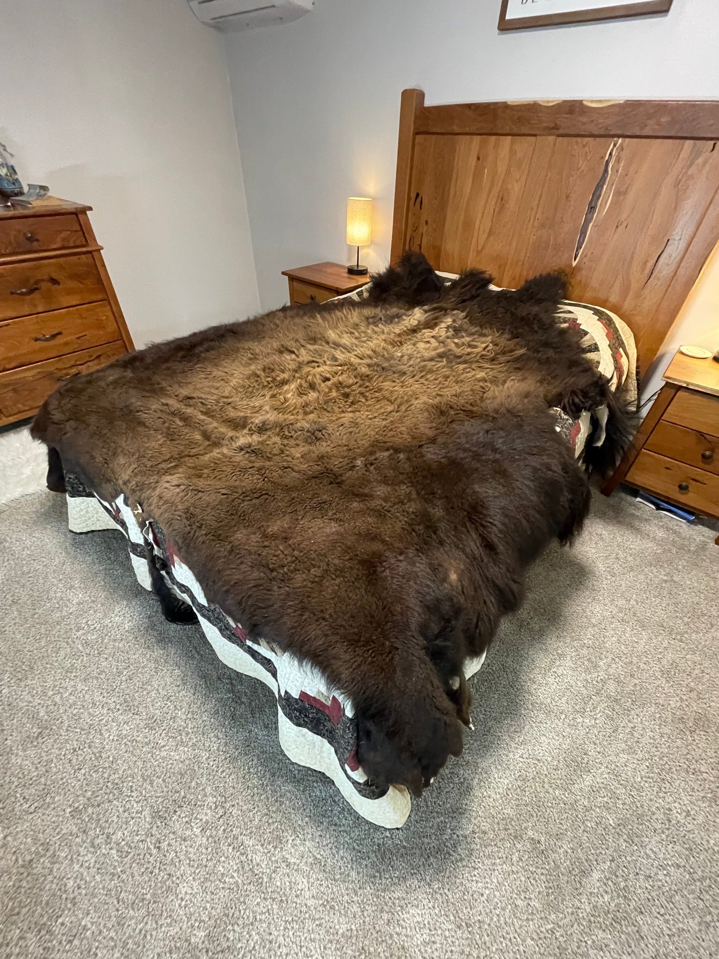 Bison Hides #14