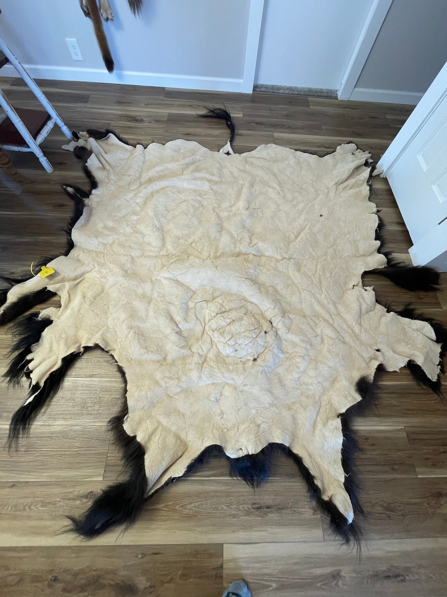 Bison Hides #14