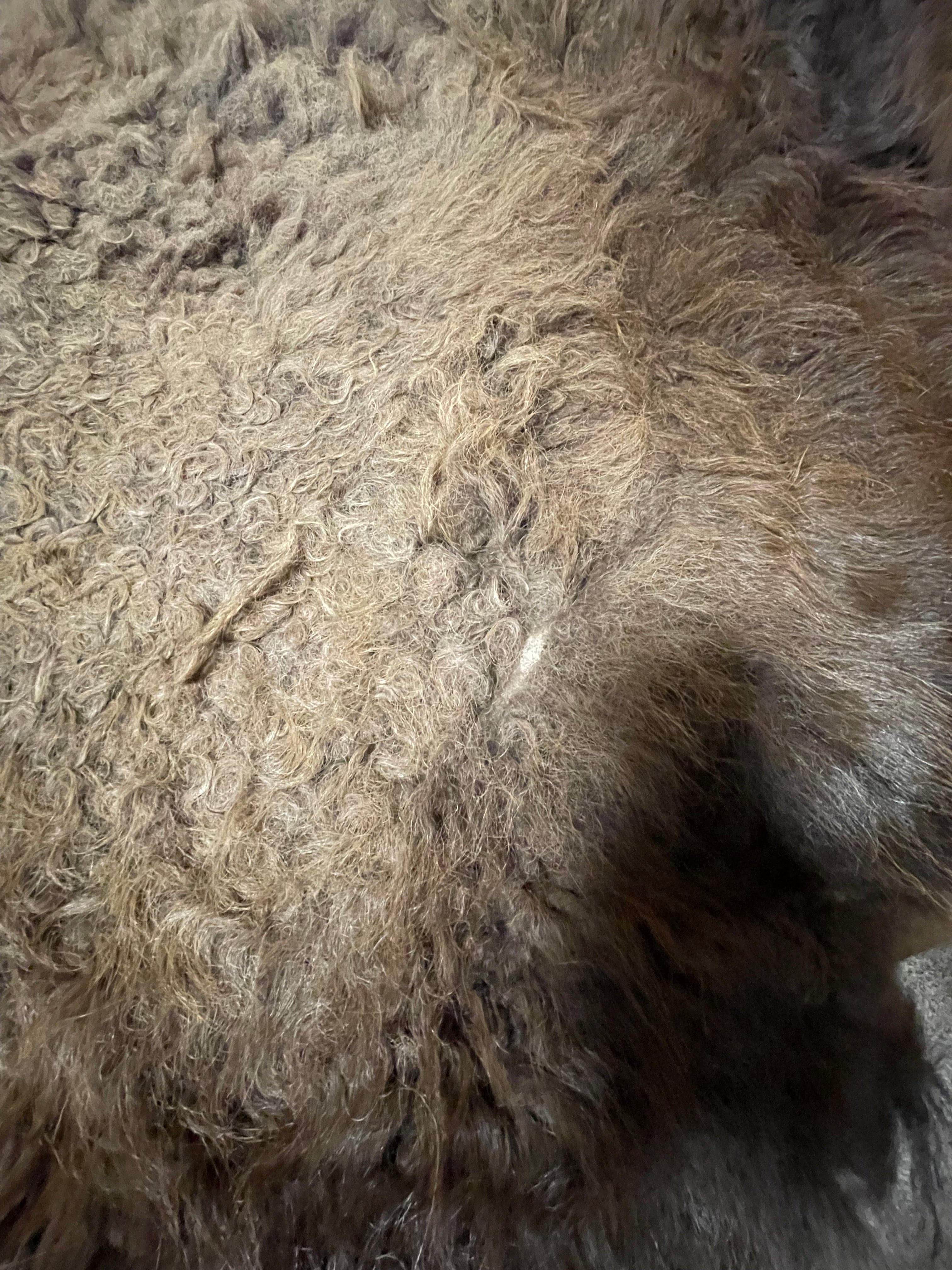 Bison Hides #19
