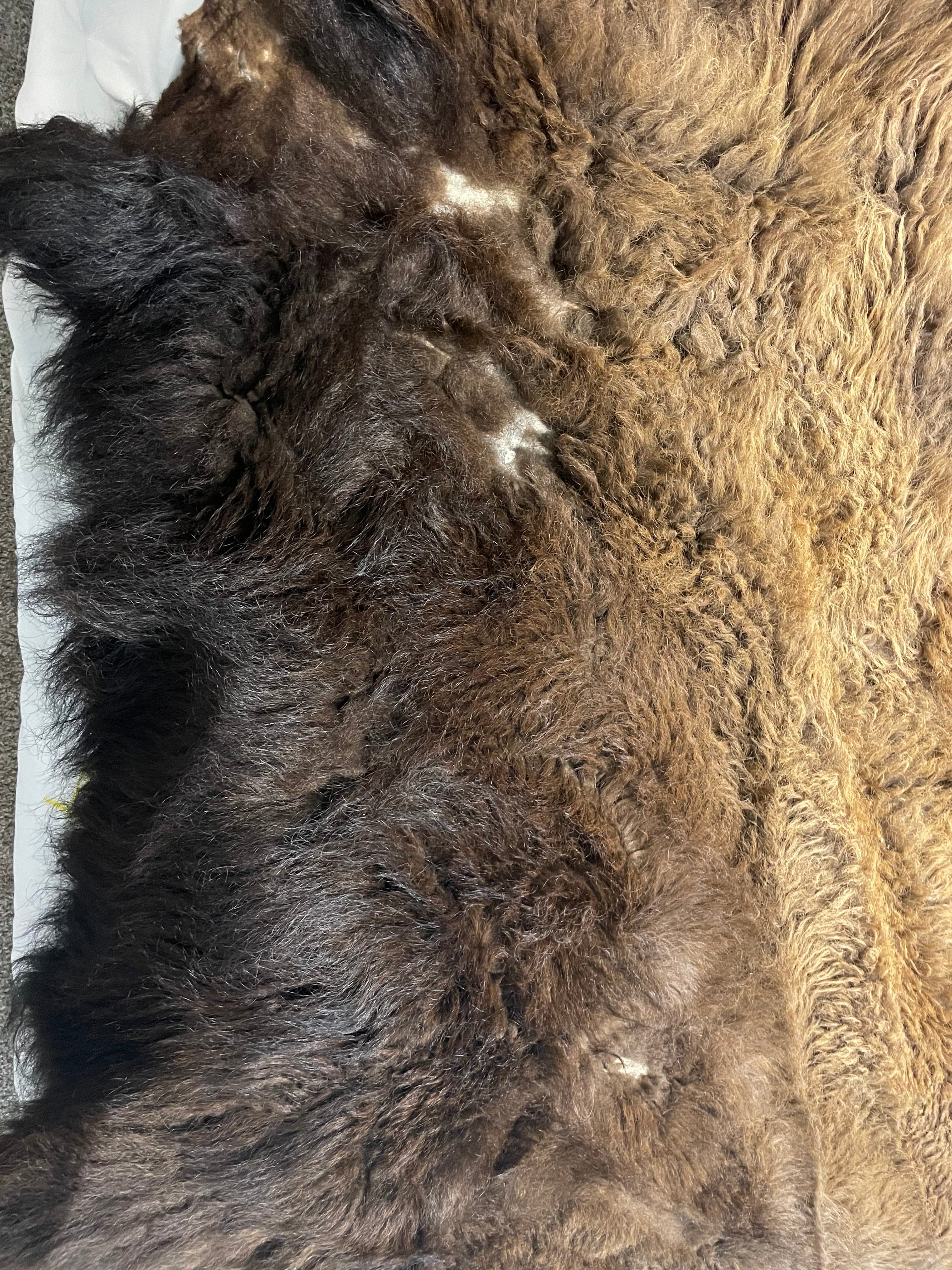 Bison Hides #33