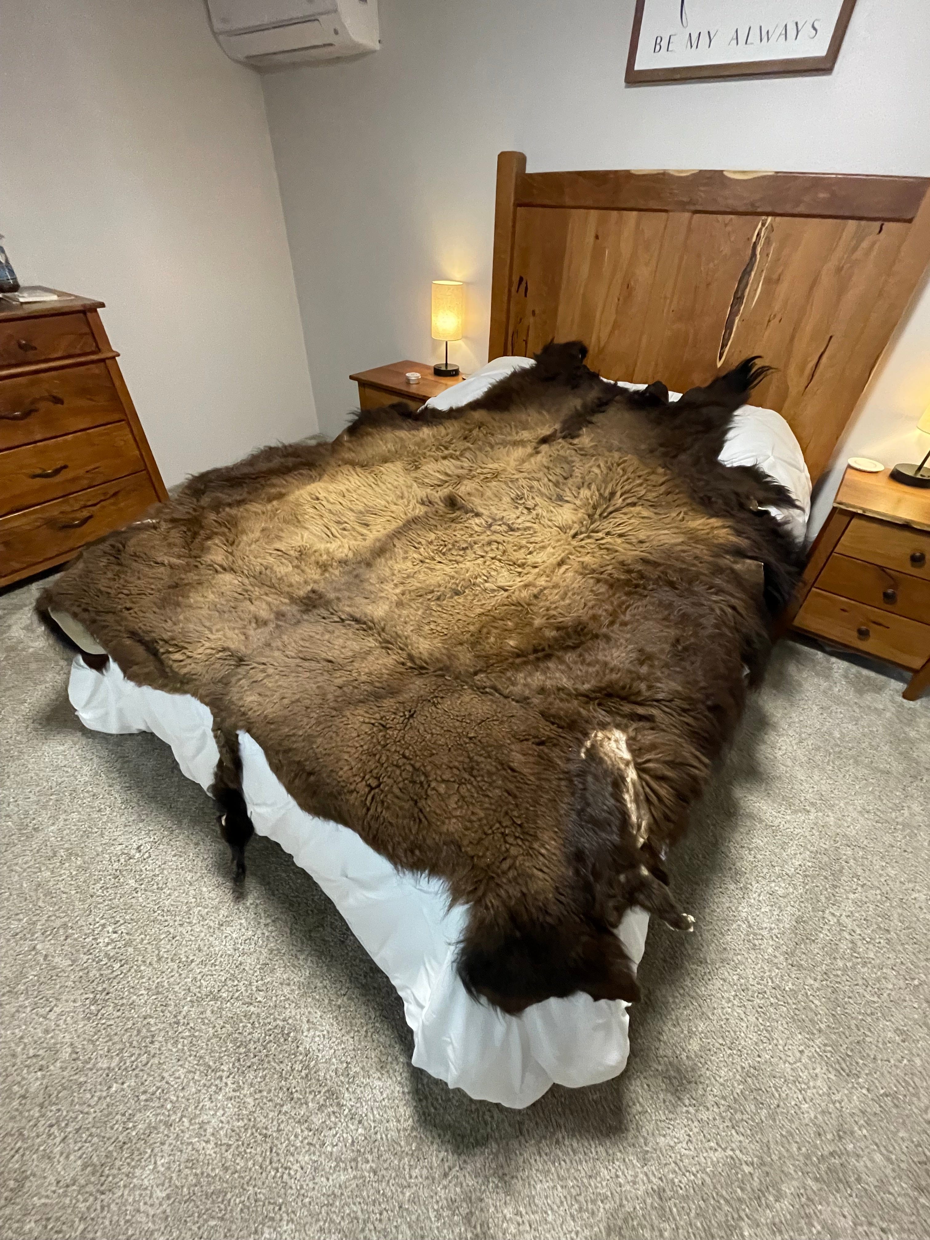 Bison Hides #36