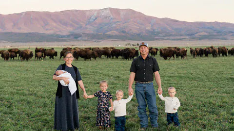 Where to Buy Bison Meat: A Rancher's Honest Guide