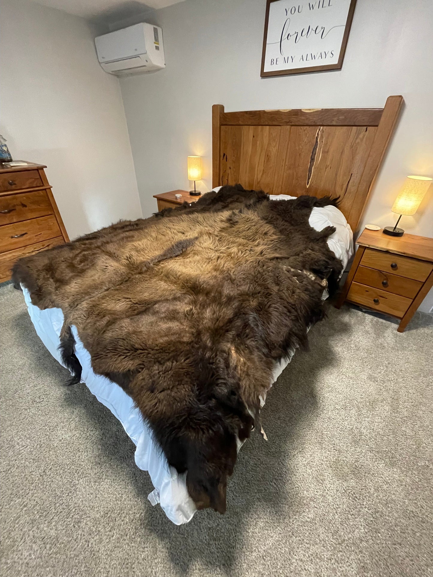 Bison Hides #29