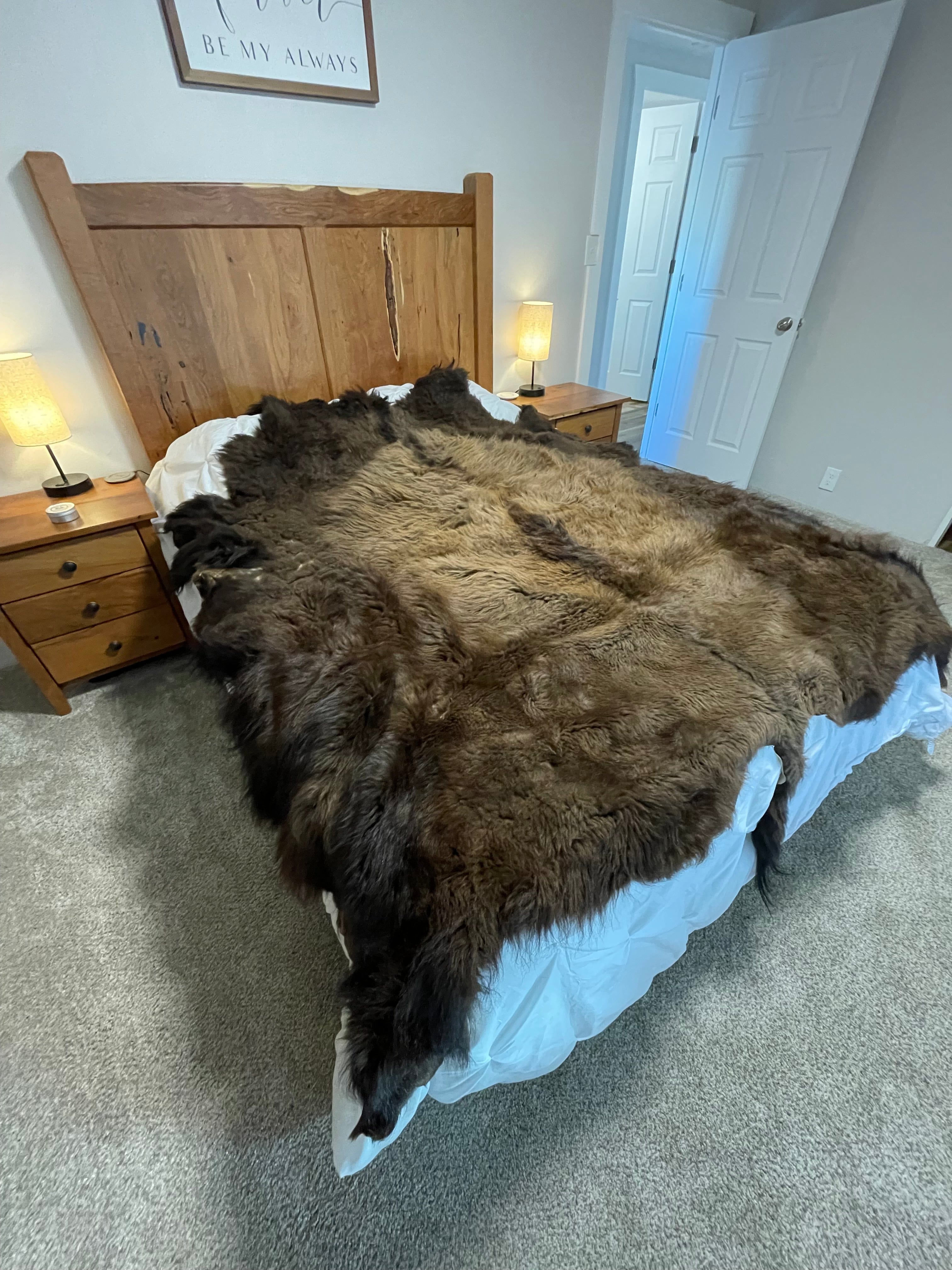 Bison Hides #29