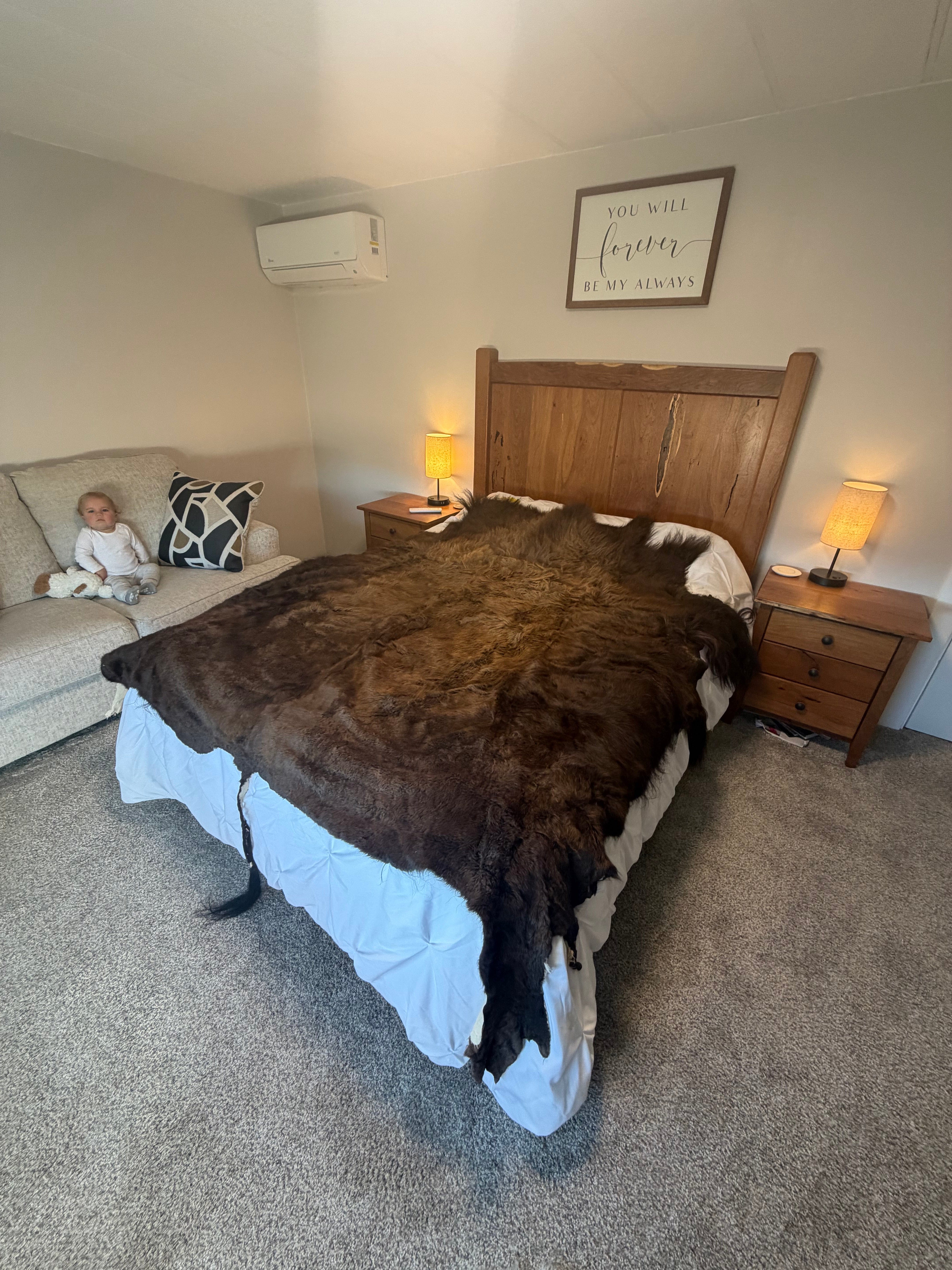 Bison Summer hide