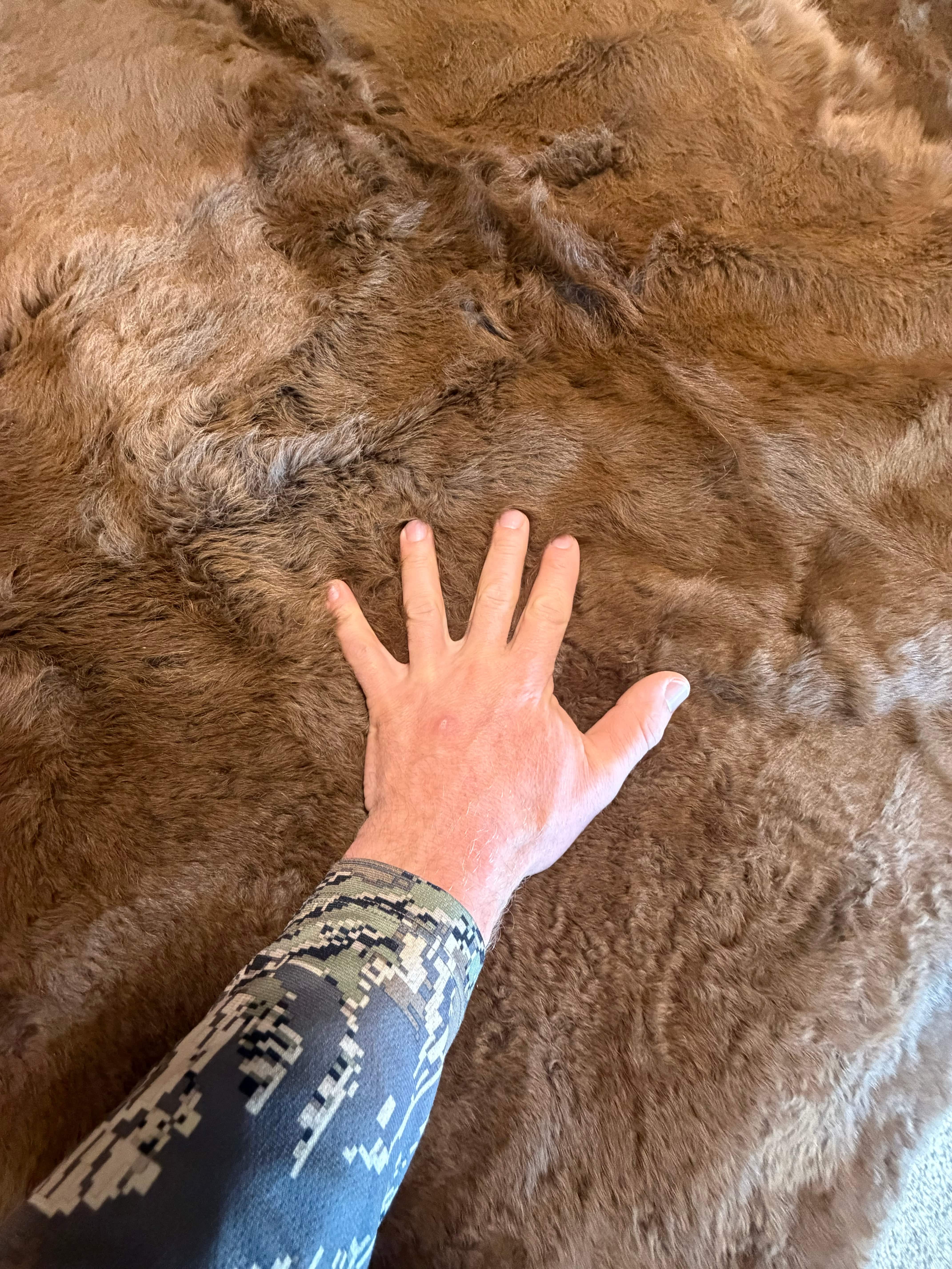 Bison Summer hide