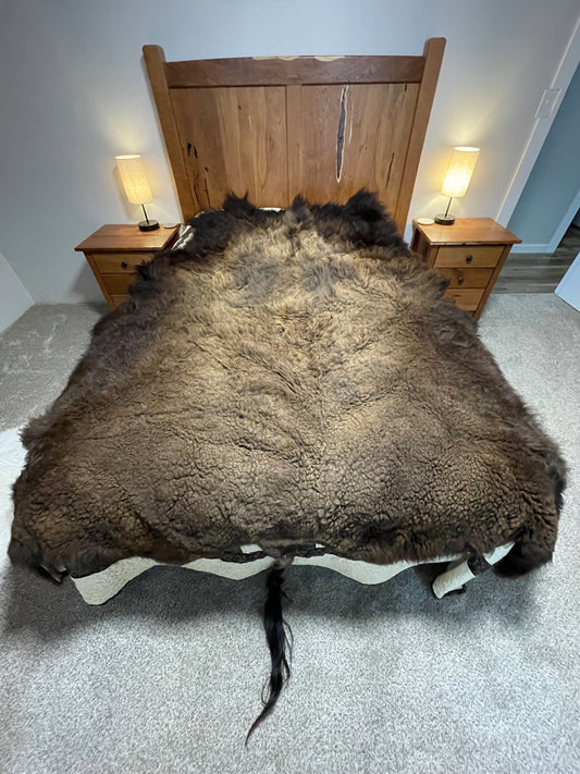 Bison Hides