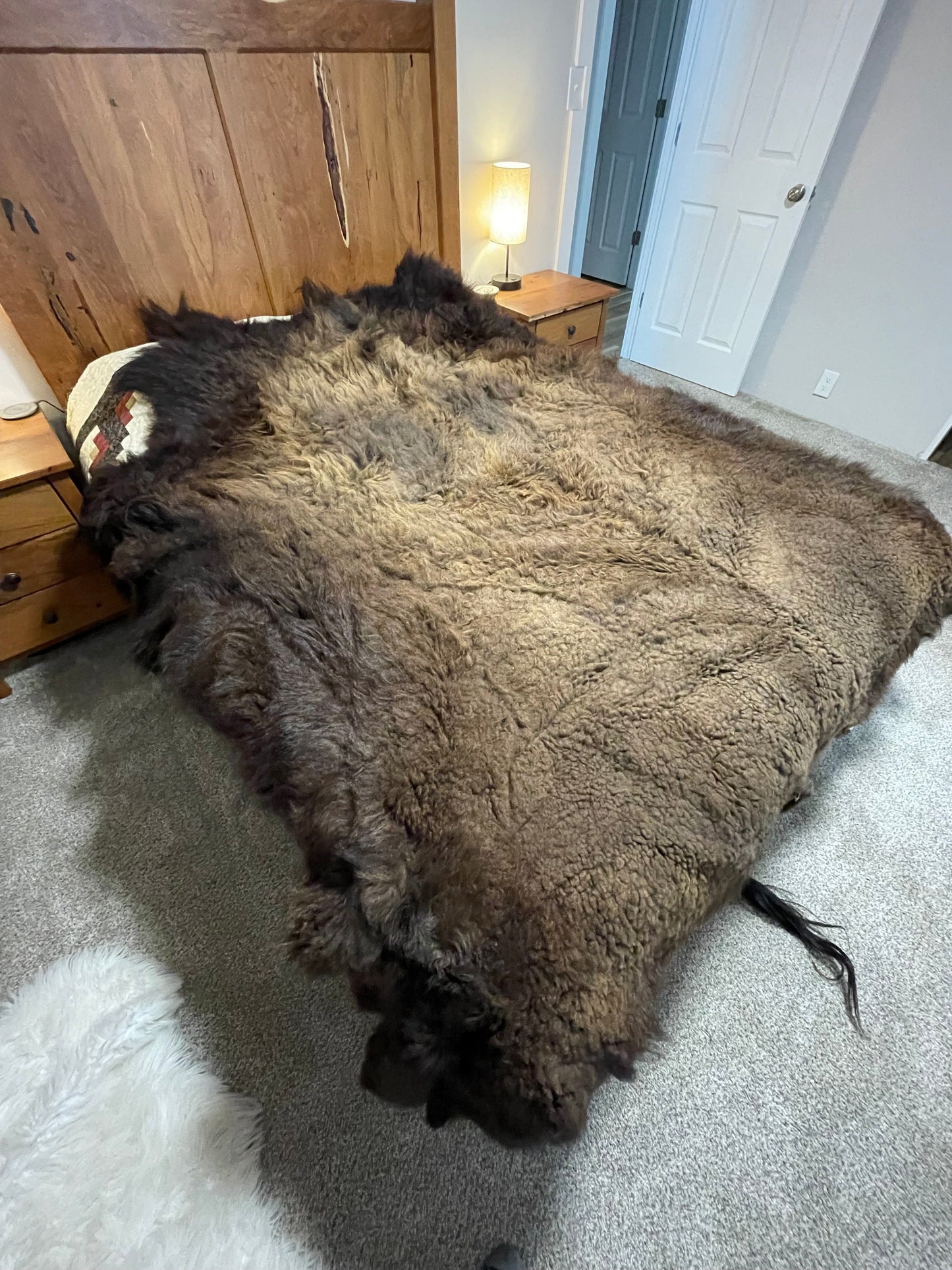 Bison Hides