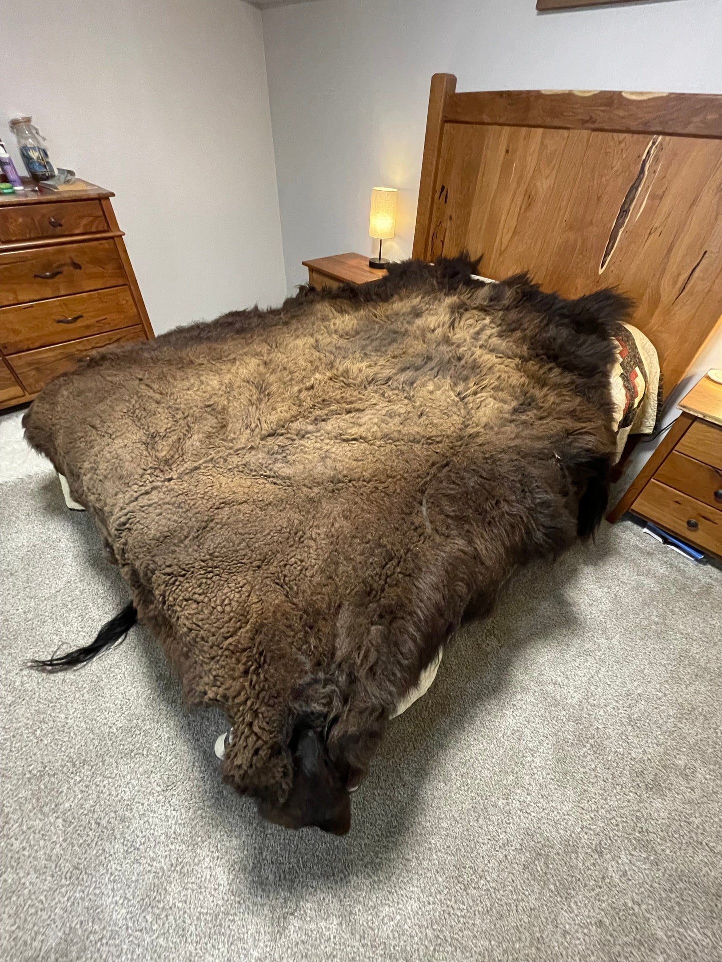 Bison Hides