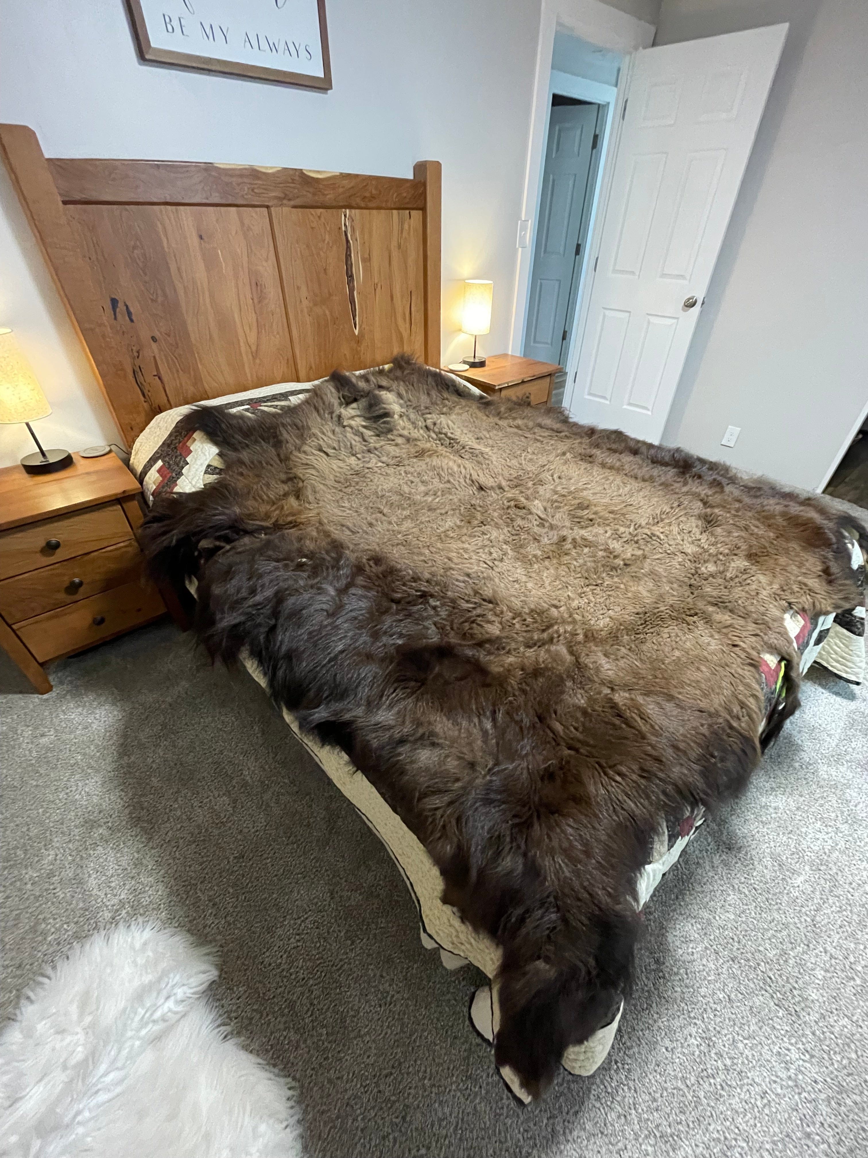 Bison Hides #19