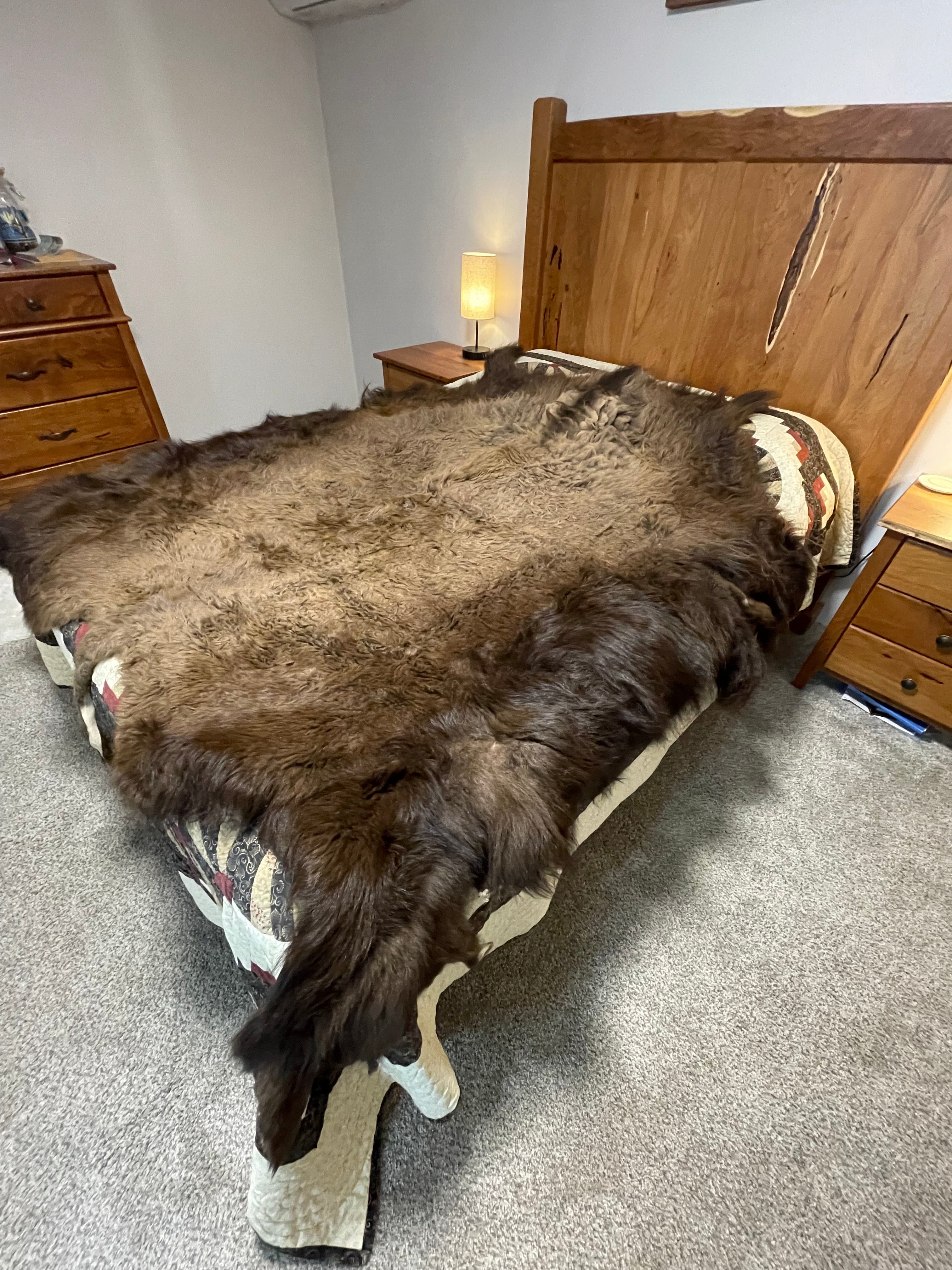 Bison Hides #19