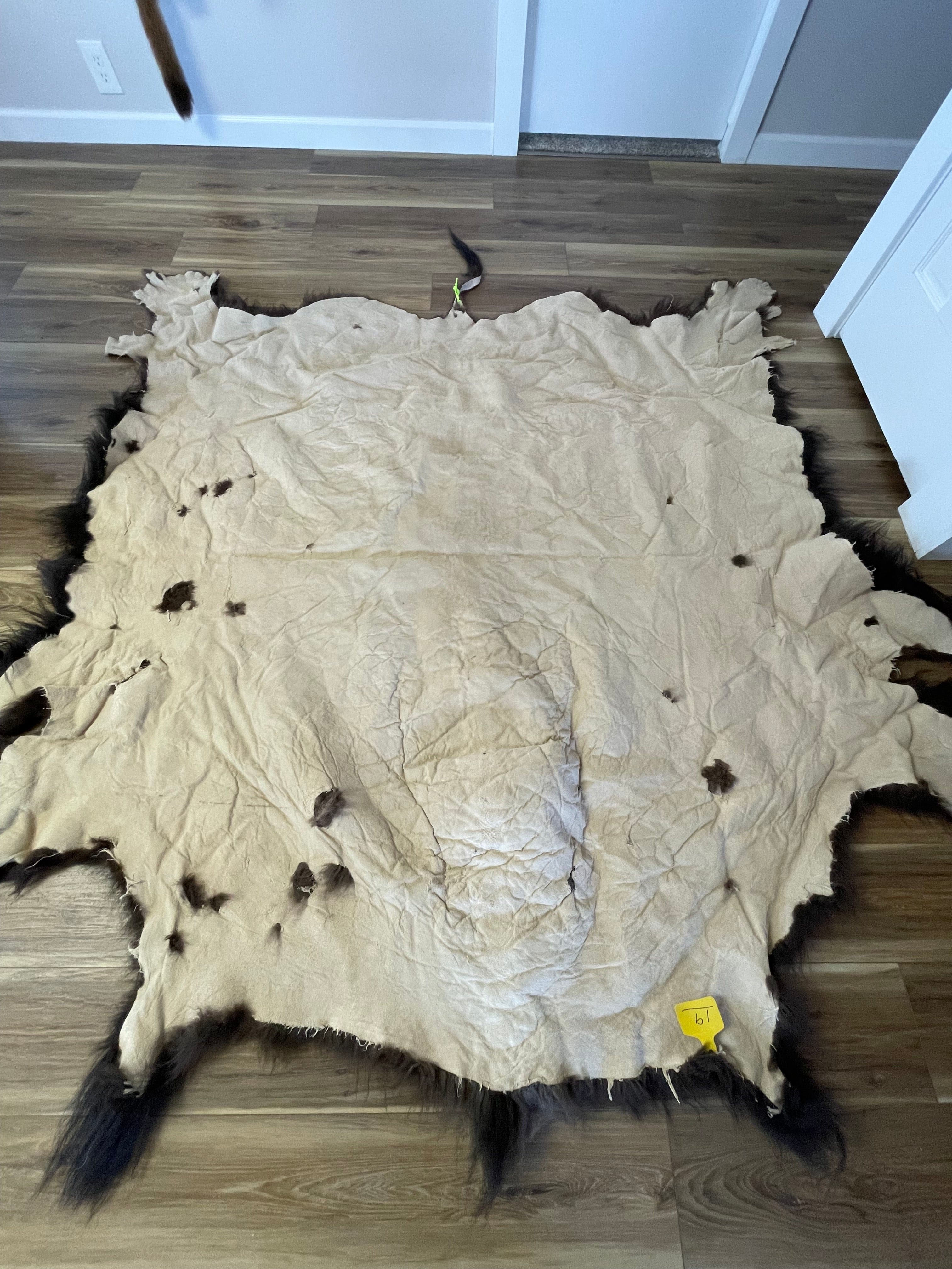 Bison Hides #19