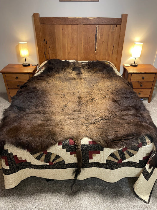 Bison Hides #20