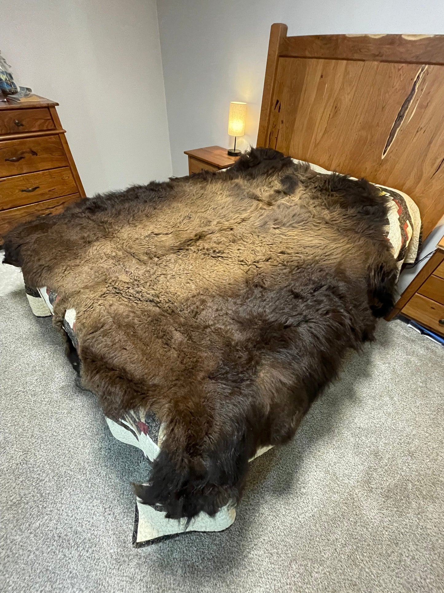 Bison Hides #20