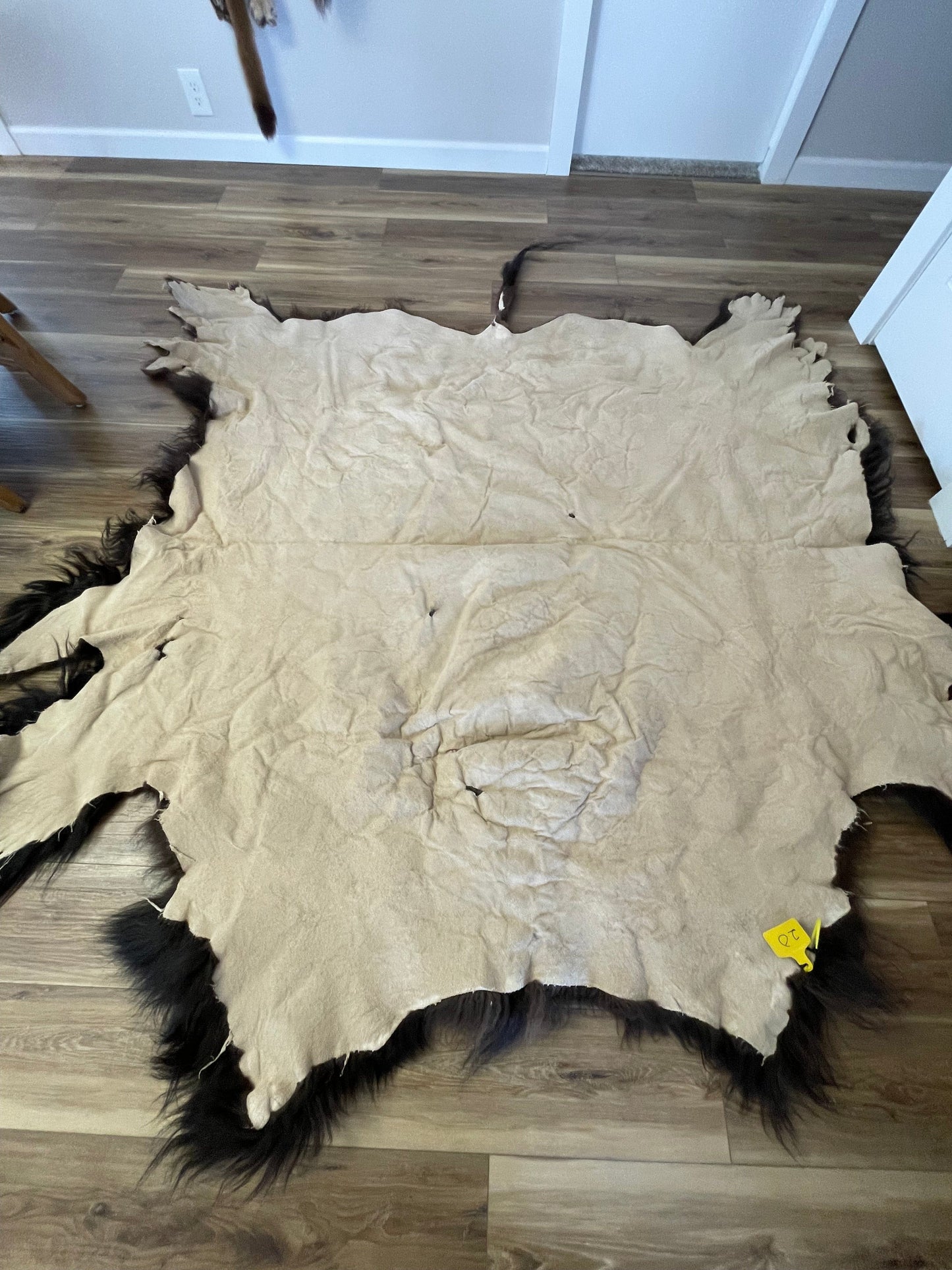 Bison Hides #20