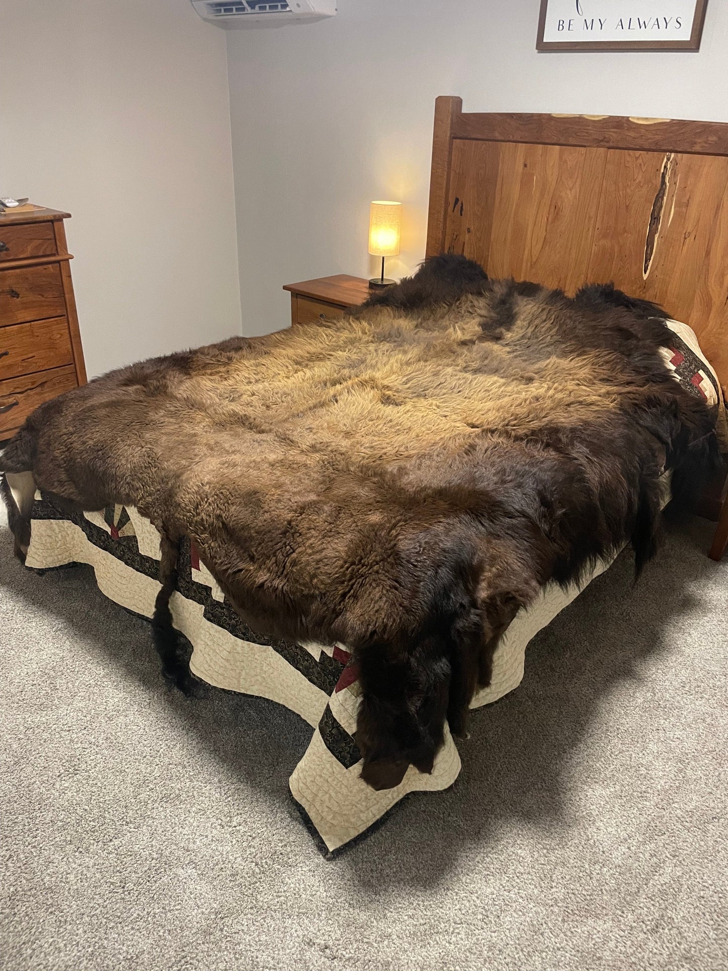 Bison Hides #22