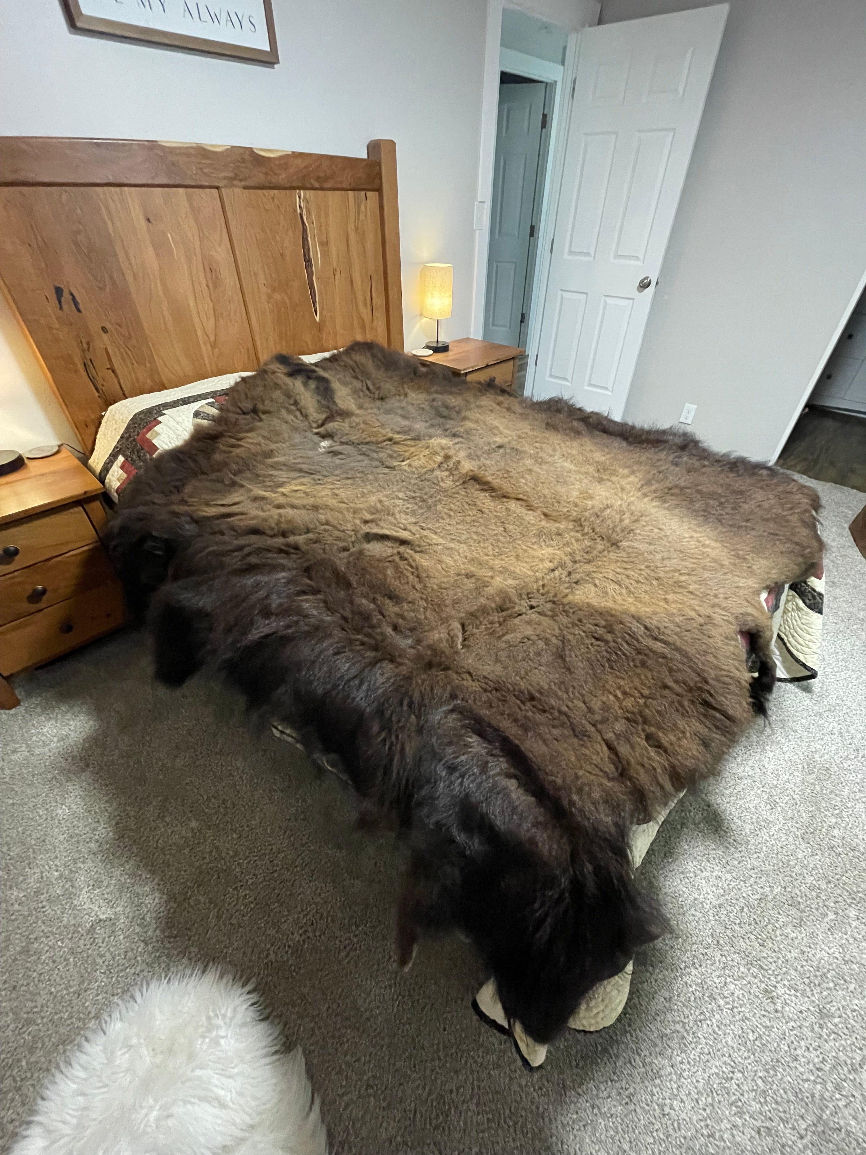 Bison Hides #25