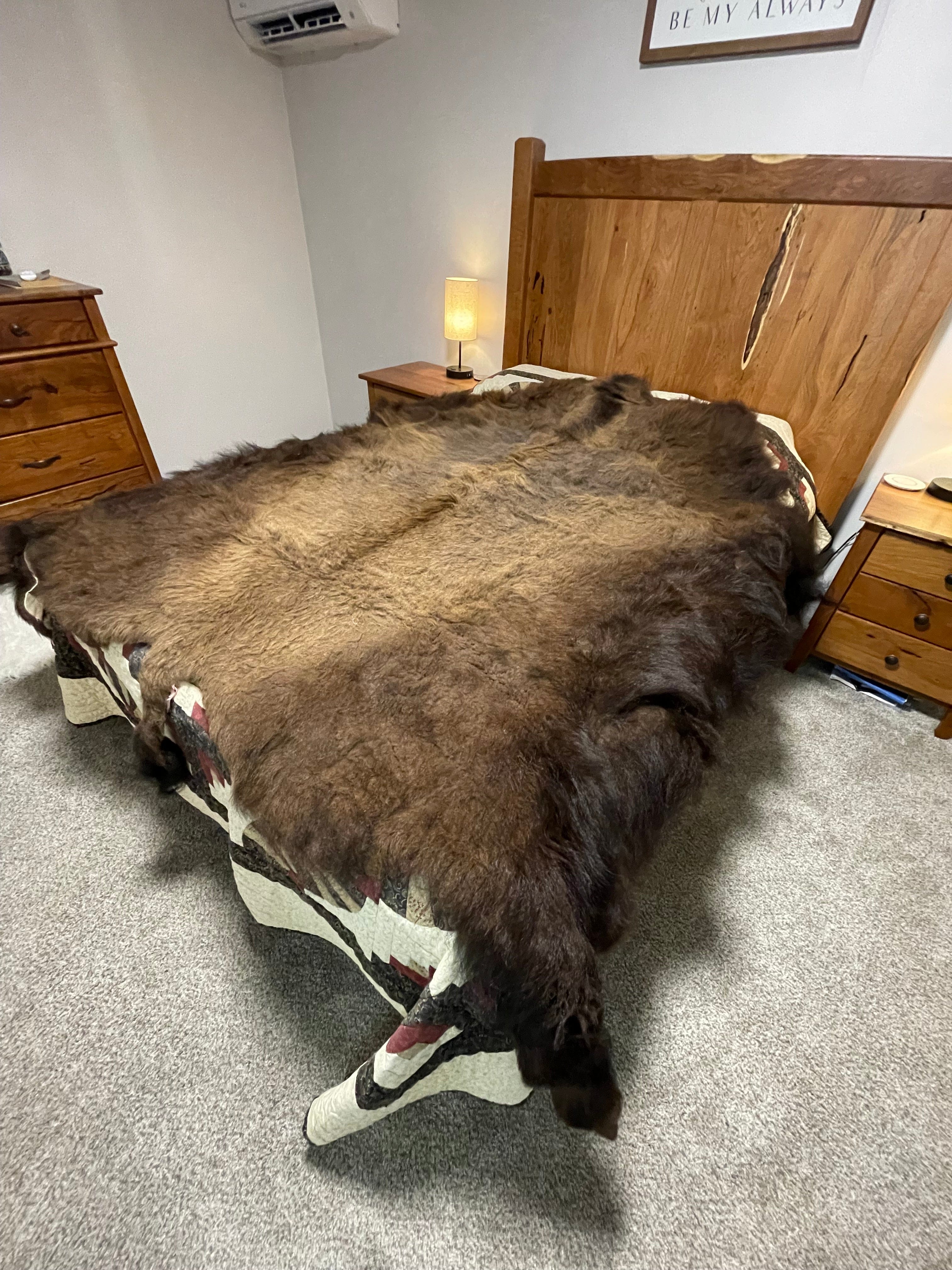Bison Hides #25