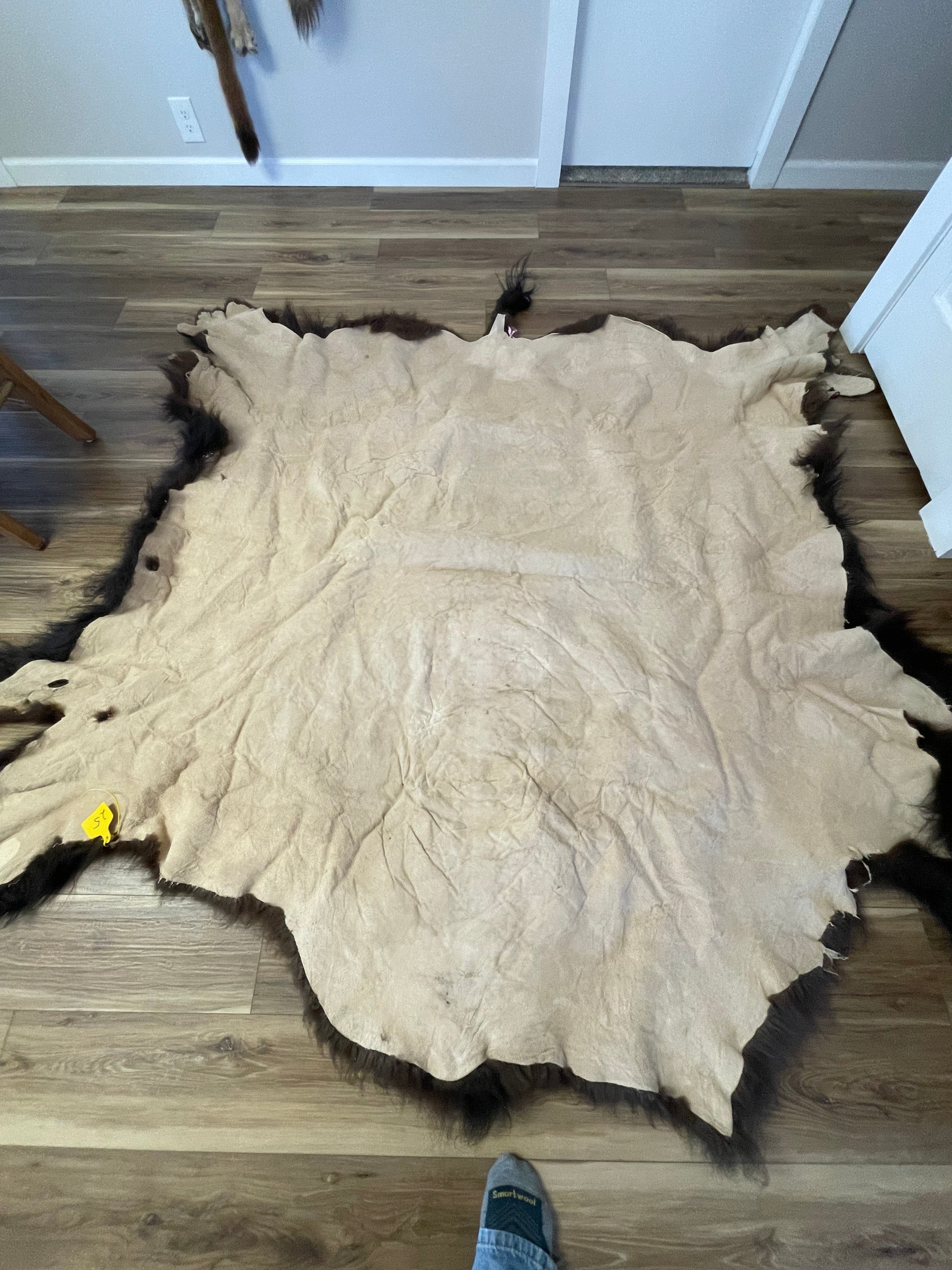 Bison Hides #25