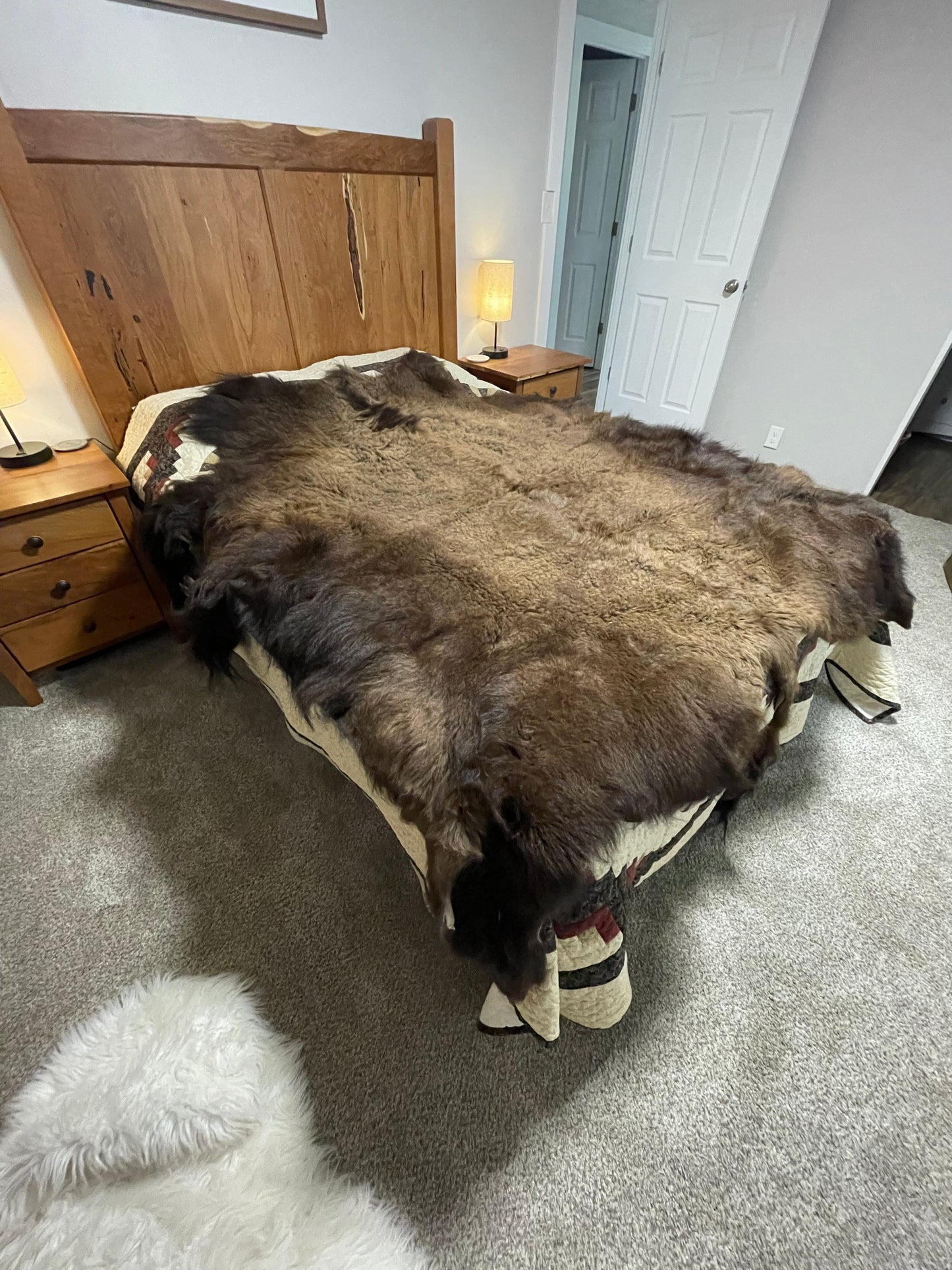 Bison Hides #26