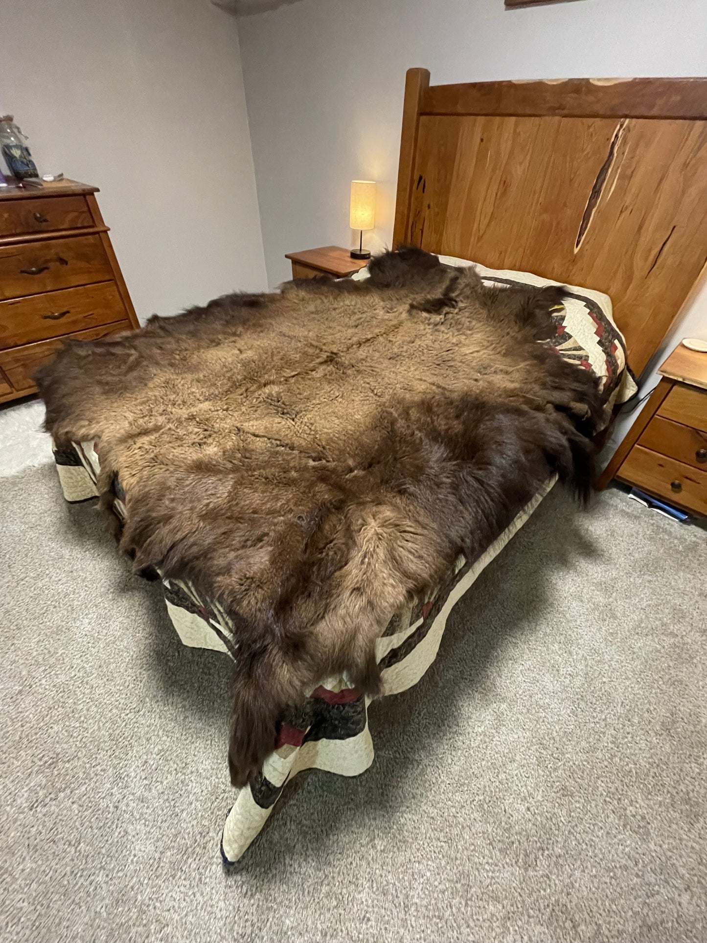 Bison Hides #26