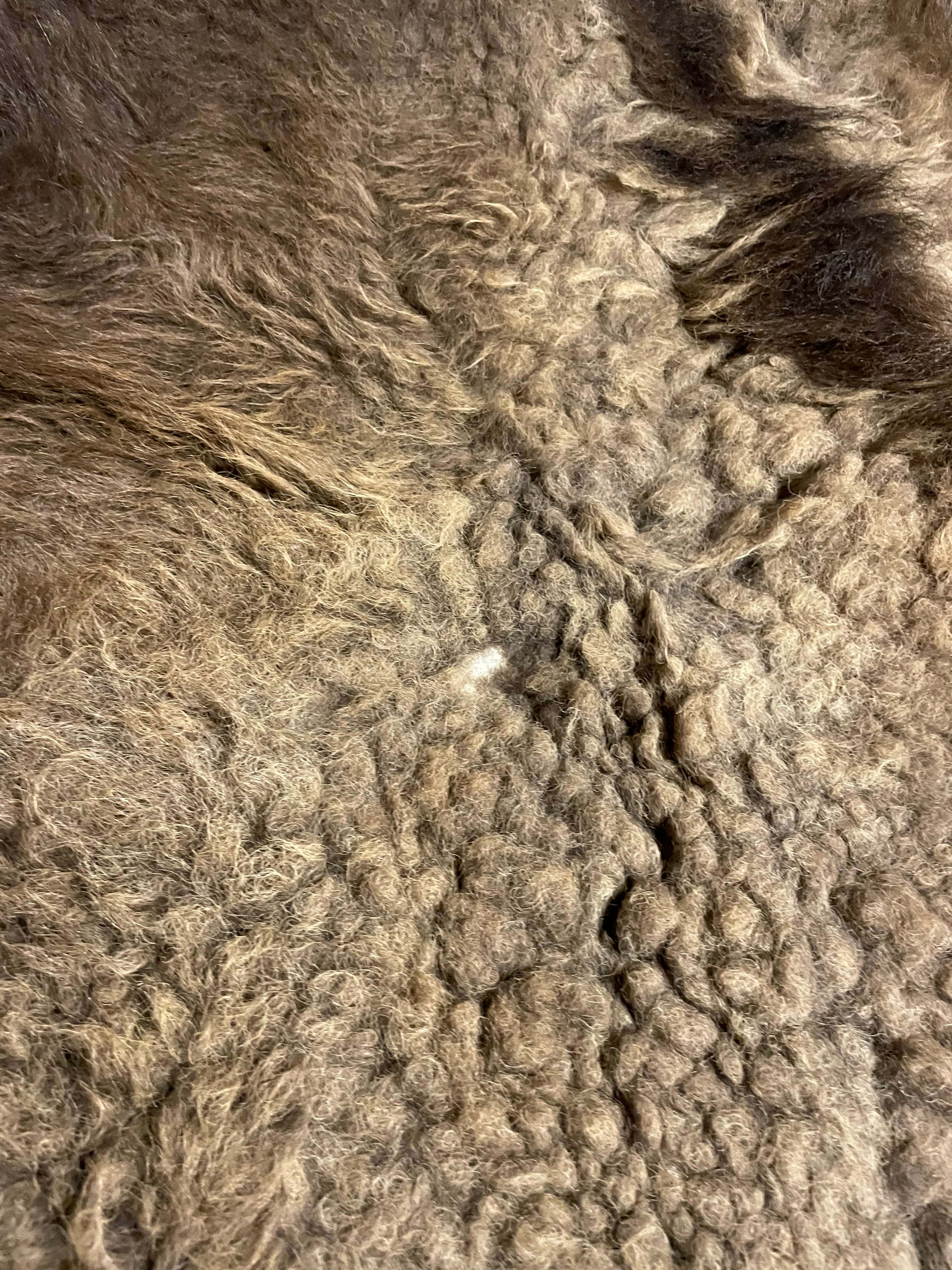 Bison Hides #26