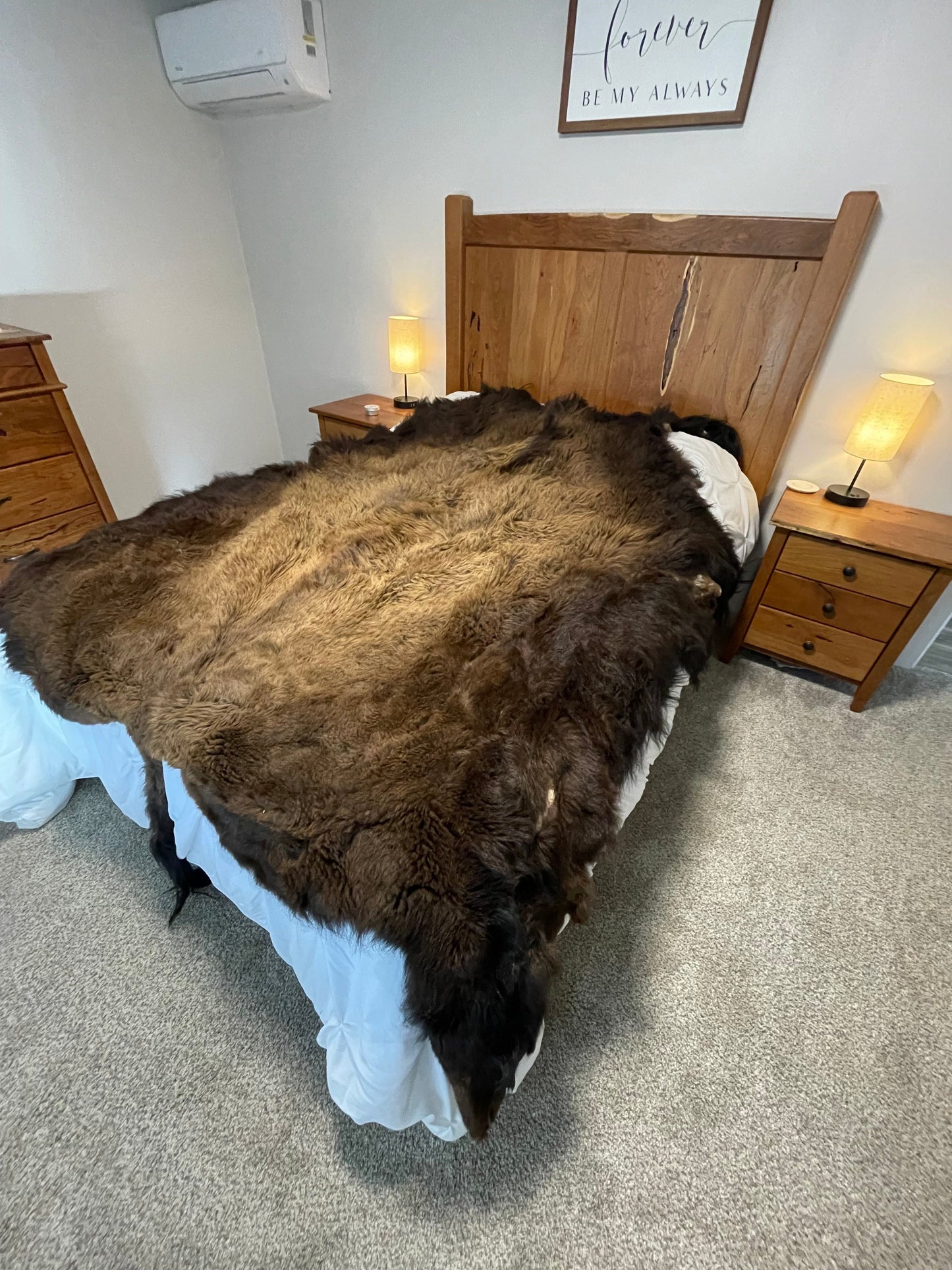 Bison Hides #33