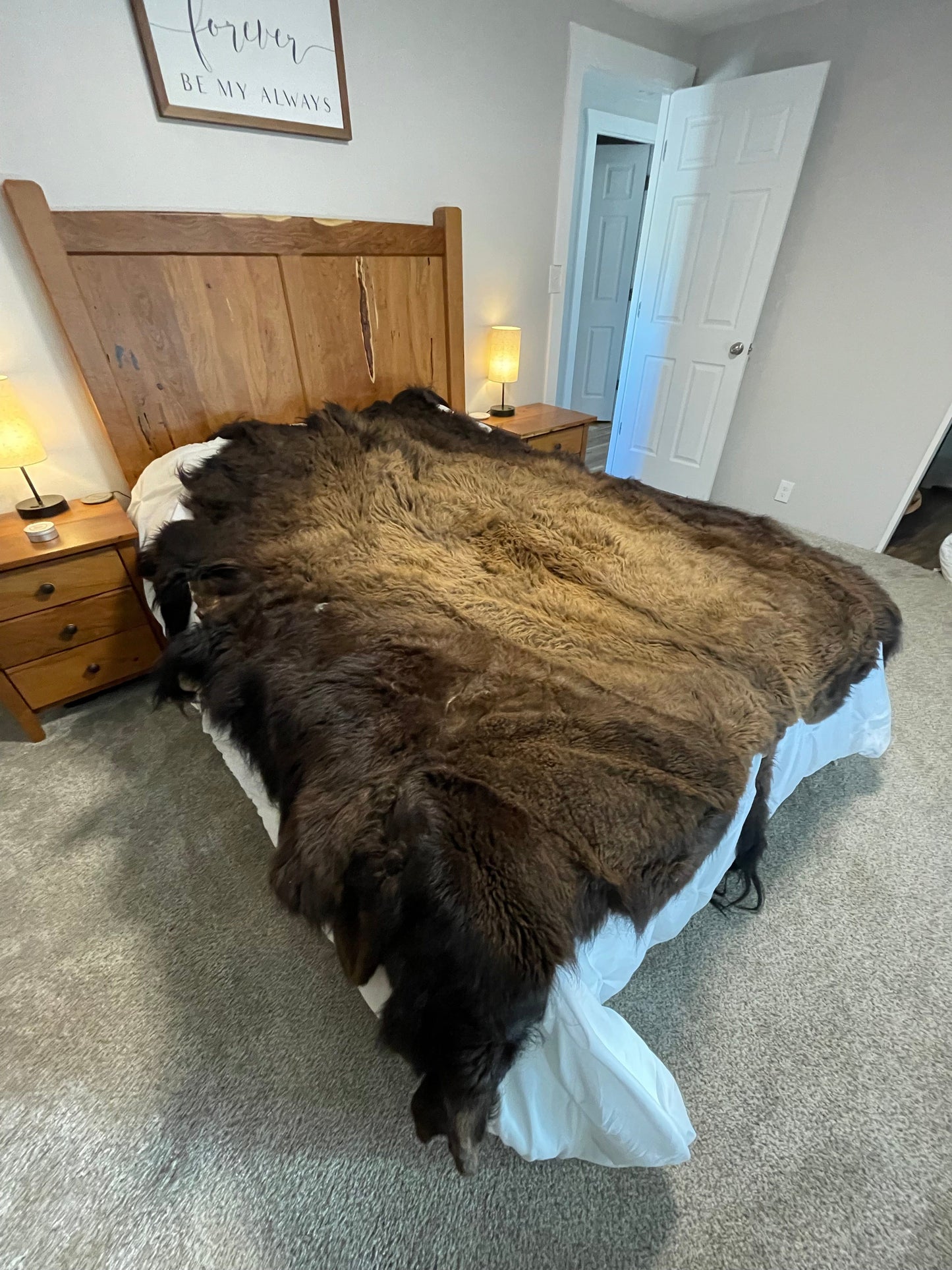 Bison Hides #33