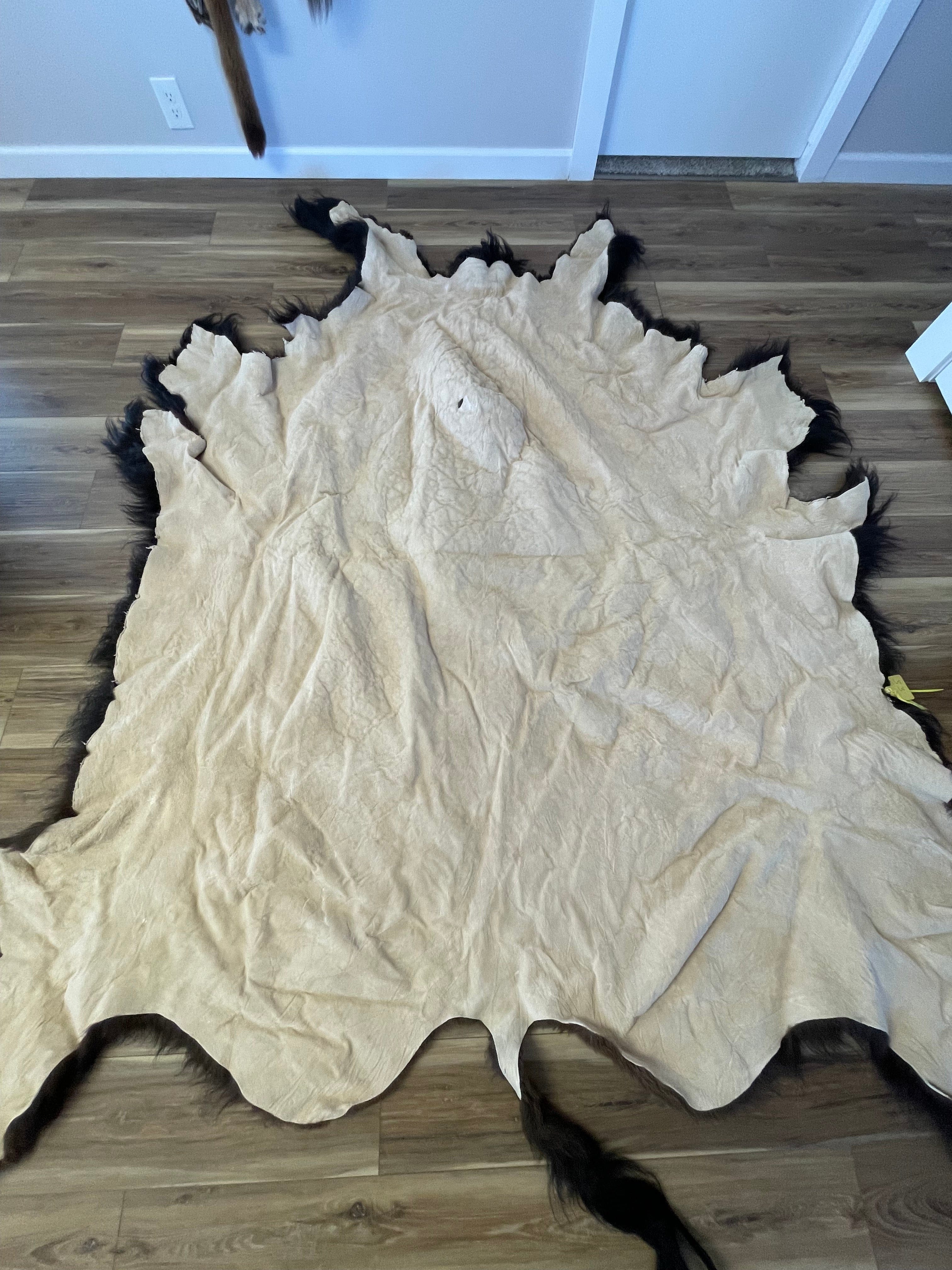 Bison Hides #33