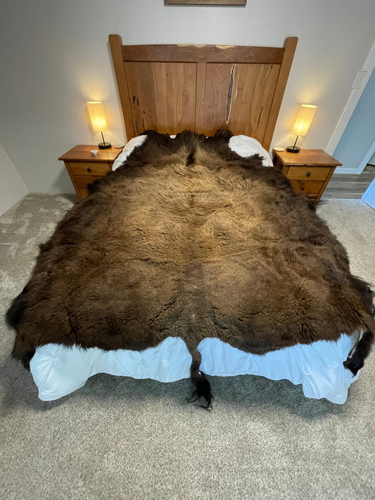 Bison Hides #34