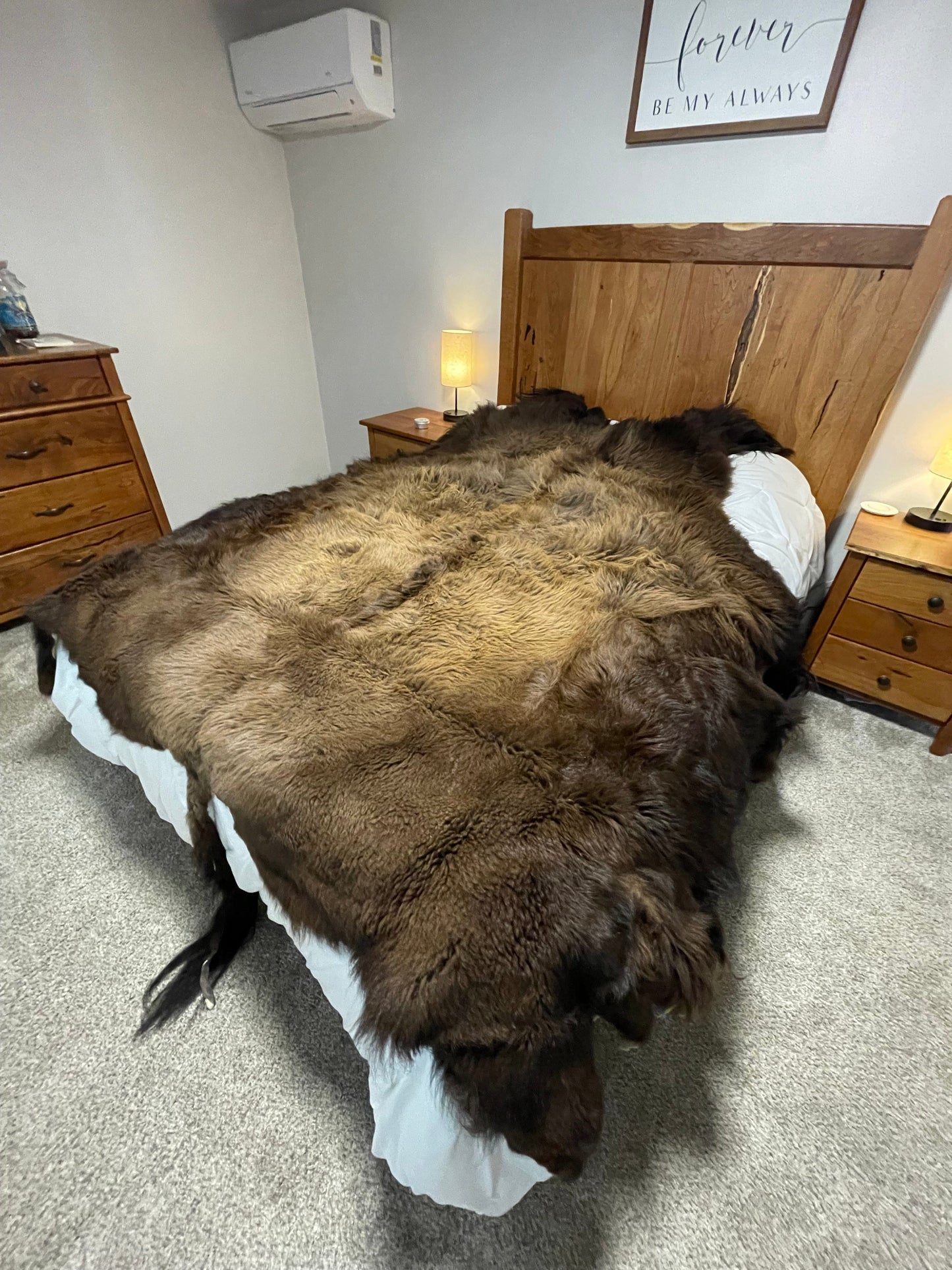 Bison Hides #35