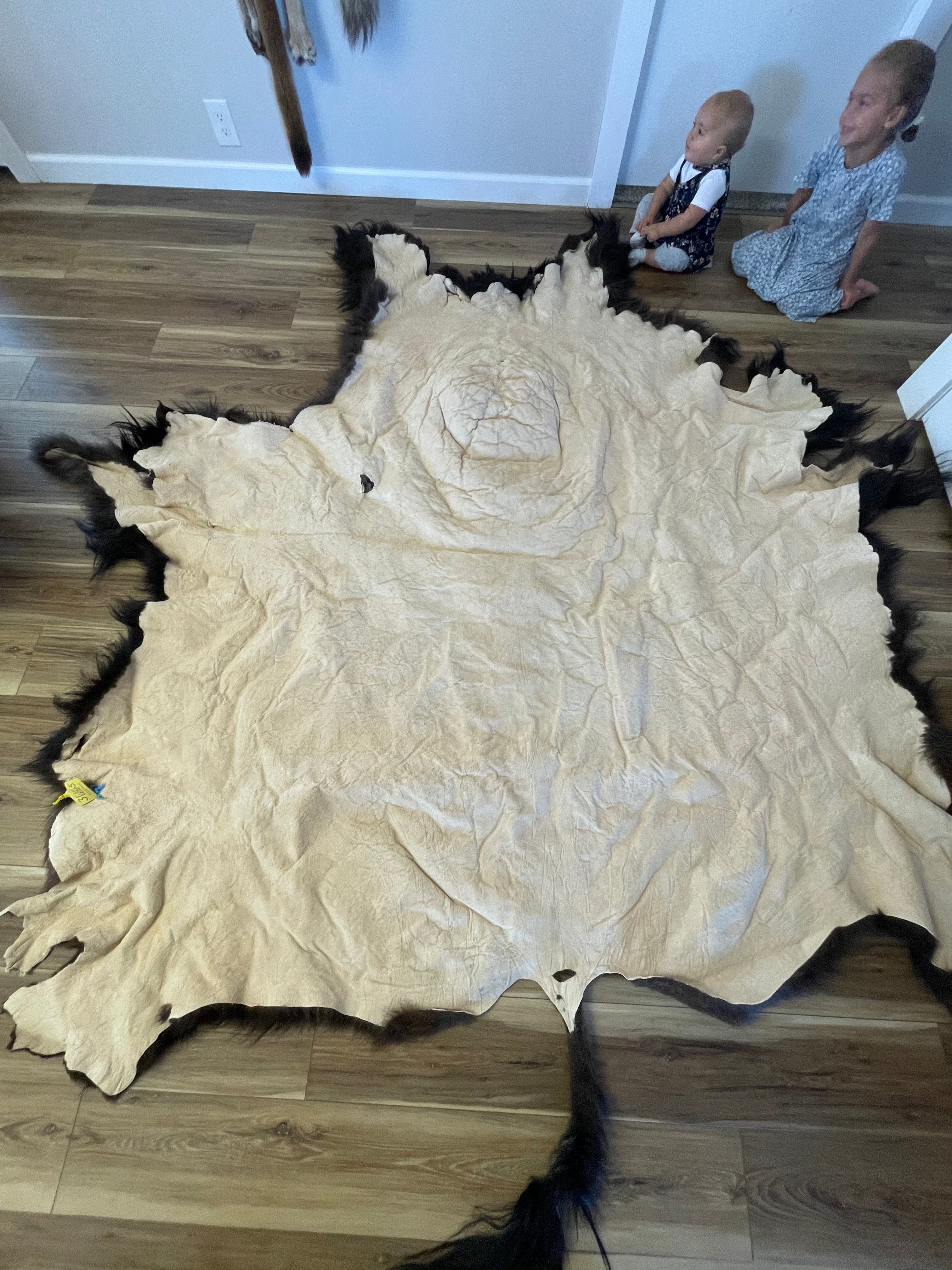 Bison Hides #35